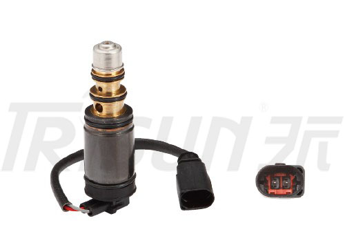 TSECV03   Control Valve