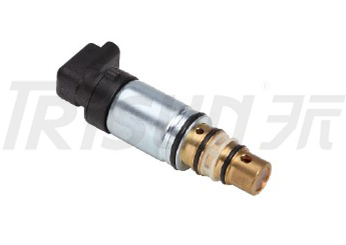 TSECV09  Control Valve 