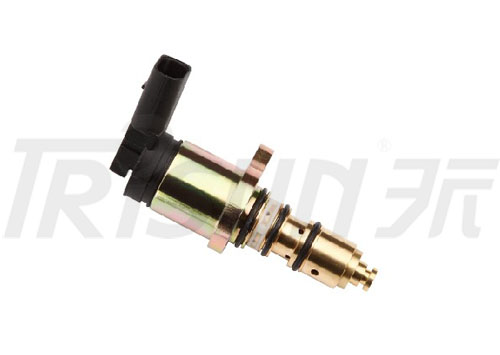 TSECV11C   Control Valve 