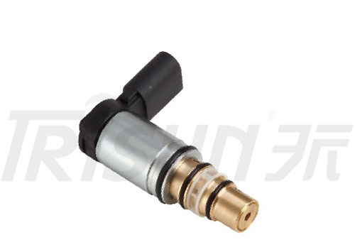 TSECV20  Control Valve 