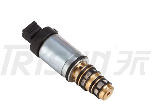 TSECV24  Control Valve 