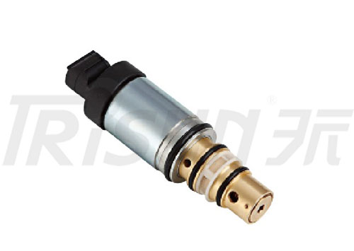 TSECV21 Control Valve 