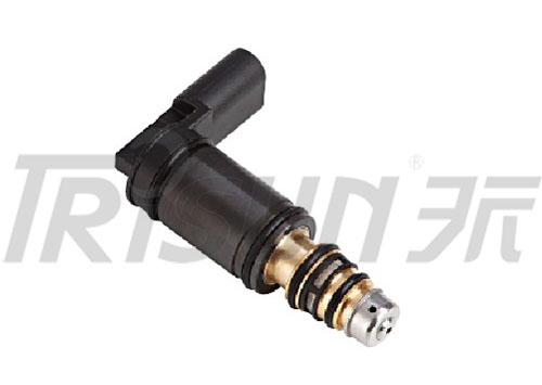 TSECV28   Control Valve 