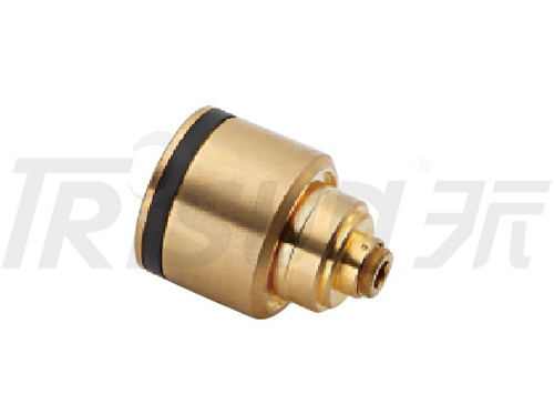 TSMCV06C  Control Valve