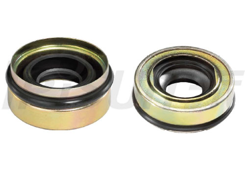 TSCTF32×17  A/C Lip Seal