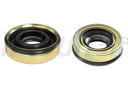 TSCTF40×20 A/C Lip Seal
