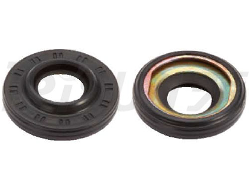 TS CB38×20 A/C Lip Seal
