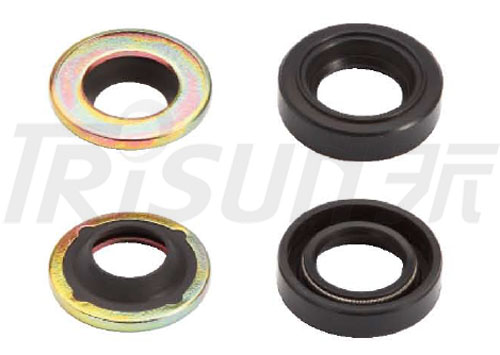 TS CB-140S A/C Lip Seal