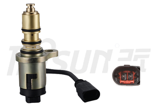 TSECV01C  Control Valve 