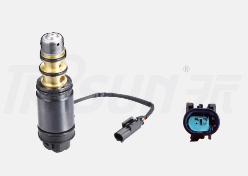 TSECV64 Control Valve