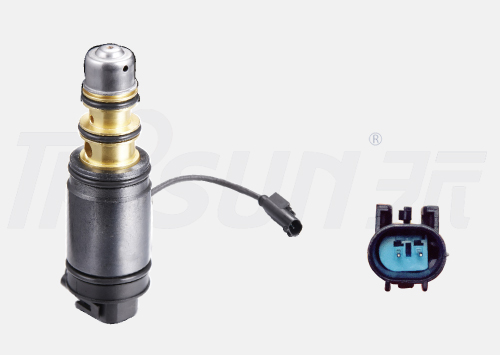 TSECV66C  Control Valve