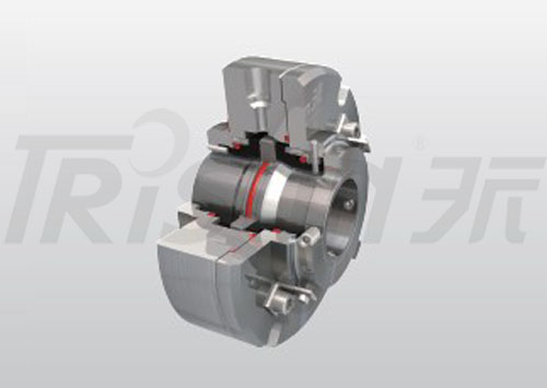 TSDGS-J01 Dry Gas Seal