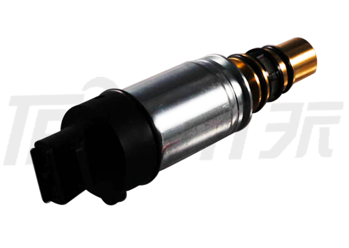 TSECV46O Control Valve