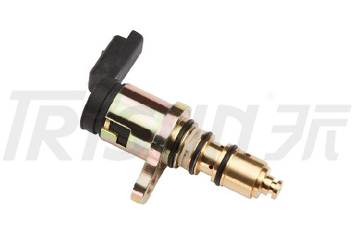 TSECV14  Control Valve 