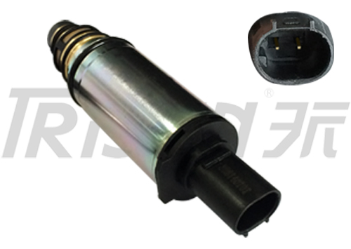 TSECV52C Control Valve