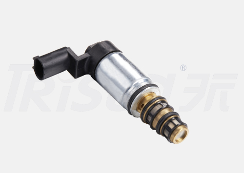 TSECV56 Control Valve