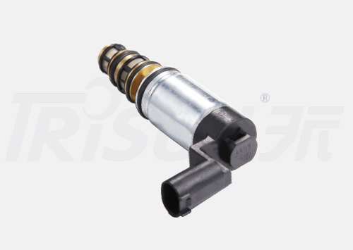 TSECV56 Control Valve