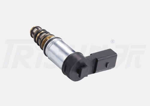 TSECV57 Control Valve