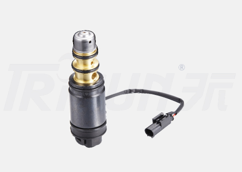 TSECV64 Control Valve