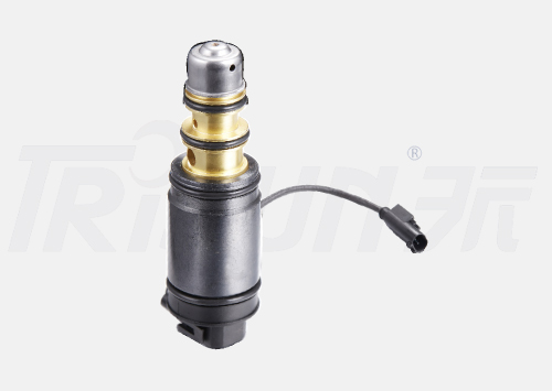 TSECV66C  Control Valve