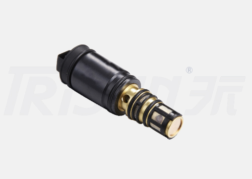TSECV69 Control Valve