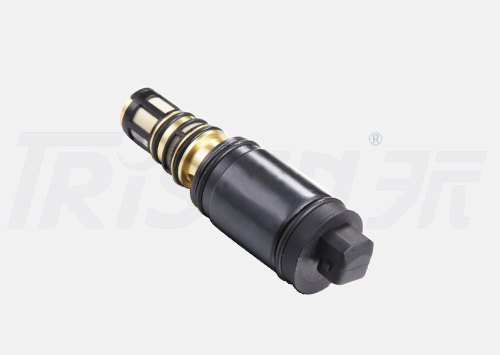 TSECV69 Control Valve
