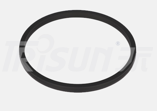 Encapsulated Rings